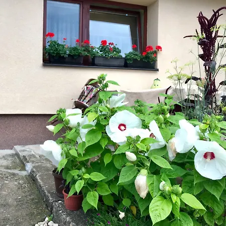 Appartement Summer House Superiore *