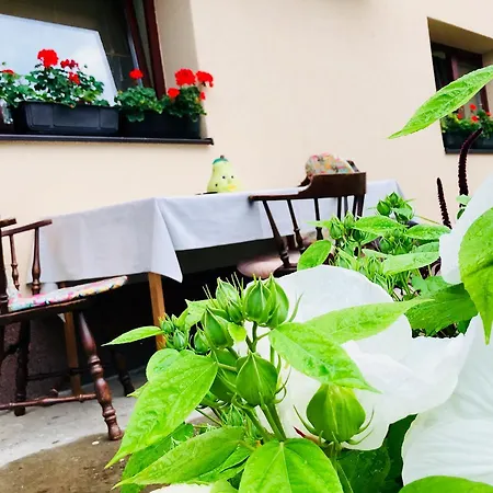 Summer House Superiore * Tuzla