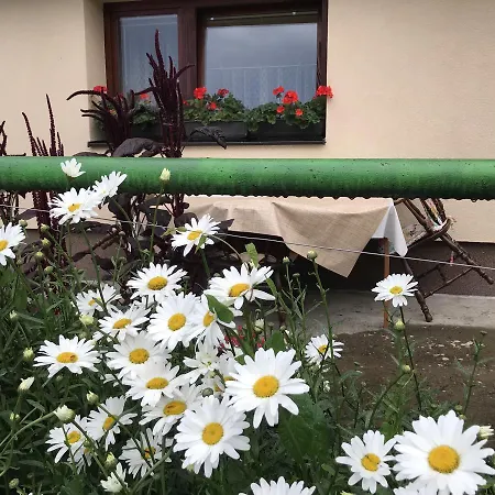 Summer House Superiore Appartement Tuzla